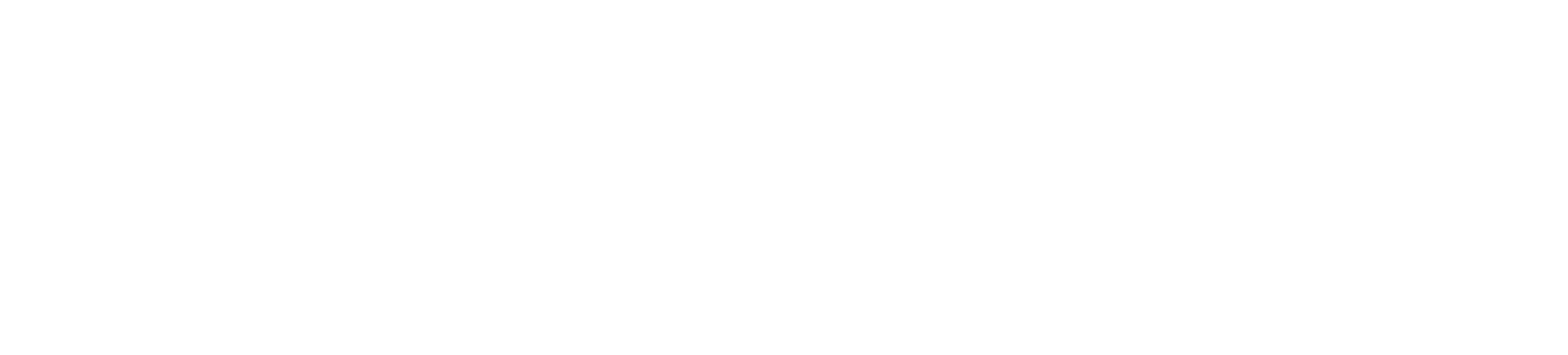 WORLD GOVERNMENTS SUMMIT LOGO
